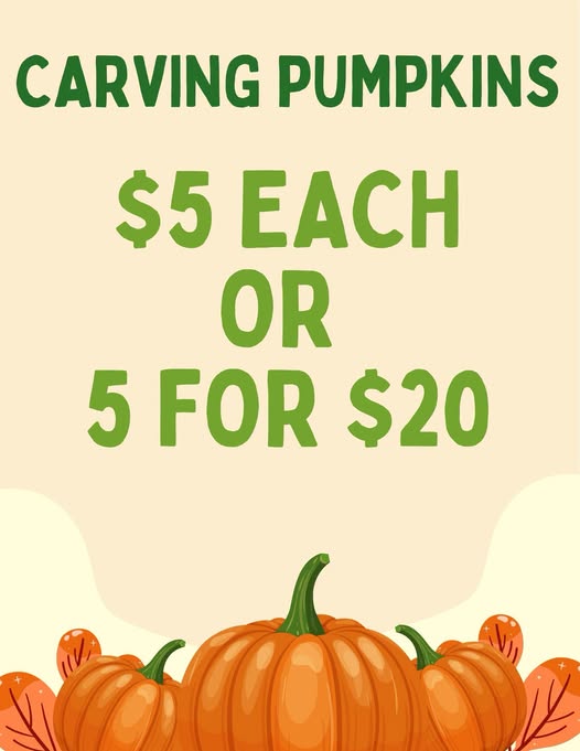 Carving Pumpkins, $5 each or 5 for $20